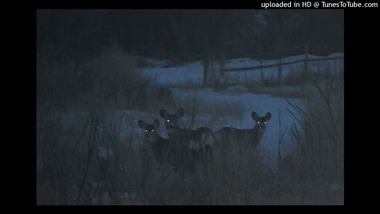 alex g - east coast (slowed)