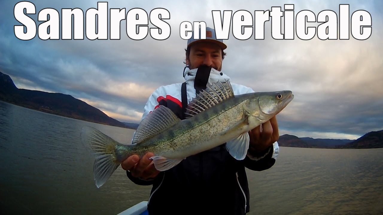 Pêche du sandre au leurre en verticale (feat Occitanie Fish)