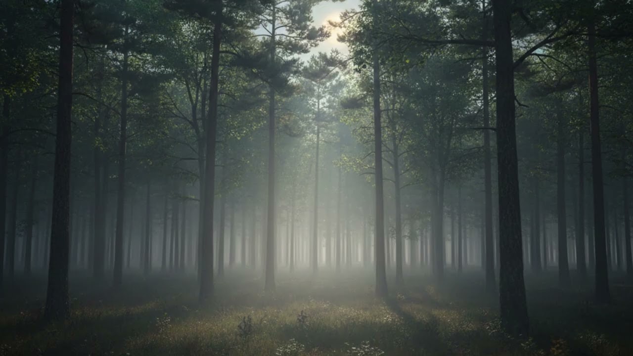 Soothing Ambient Sleep Music – 30 Minutes Calm