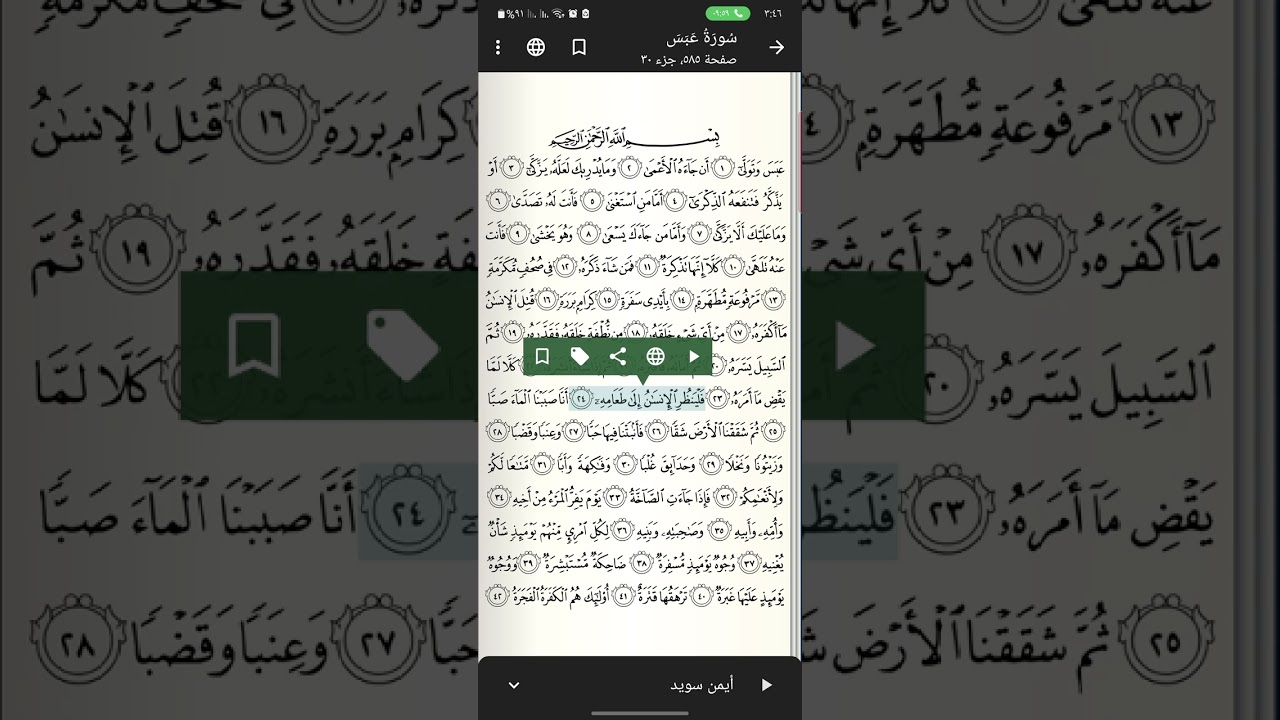 سورة عبس الطالب المجتهد السيد هشام اليعقوبي الحسني - أوربا -