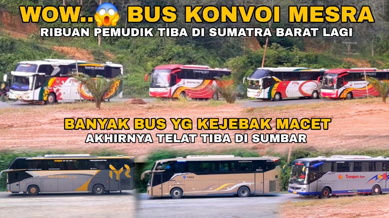WOW..😱 BUS KONVOI MESRA DARI RANTAU RIBUAN PEMUDIK TIBA DI SUMATRA BARAT LAGI