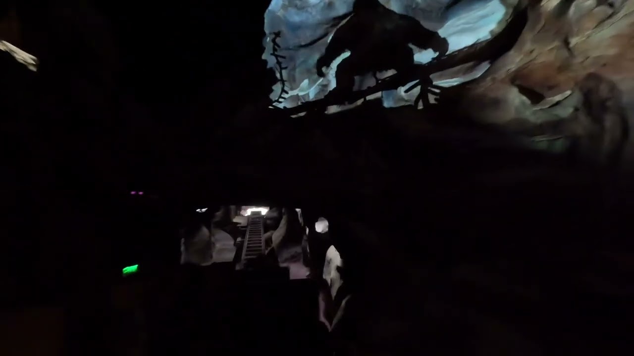 Expedition Everest ride Animal Kingdom with the lights on 24th November 2022