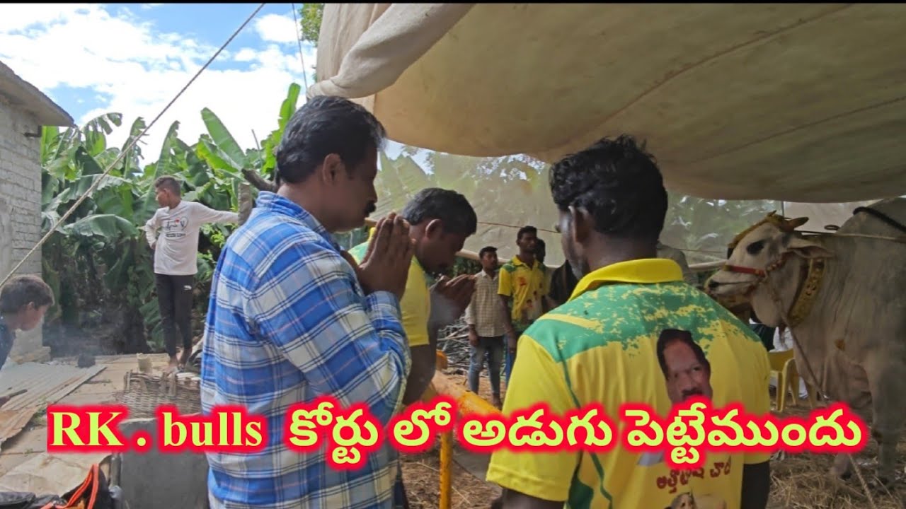 RK.bulls సింహ.లయన్  కోర్టు లో దిగేముందు ...