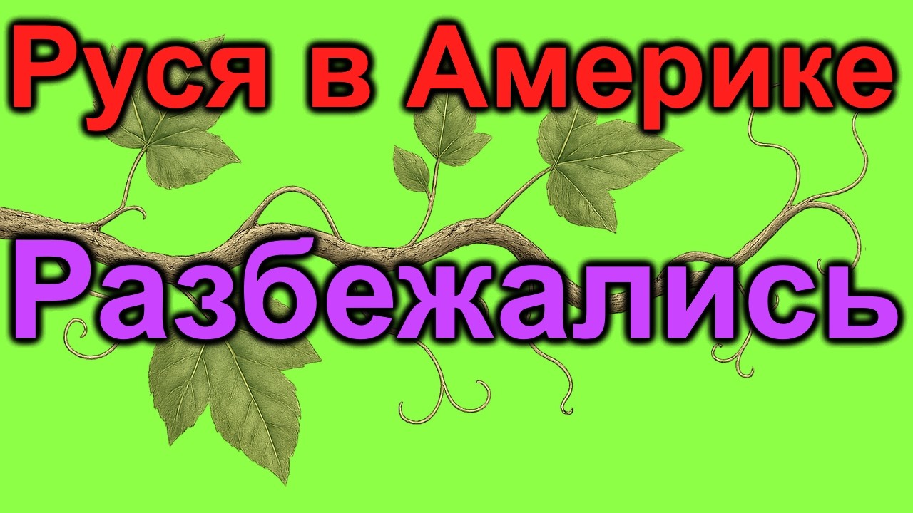 Руся и Пипочка разбежались