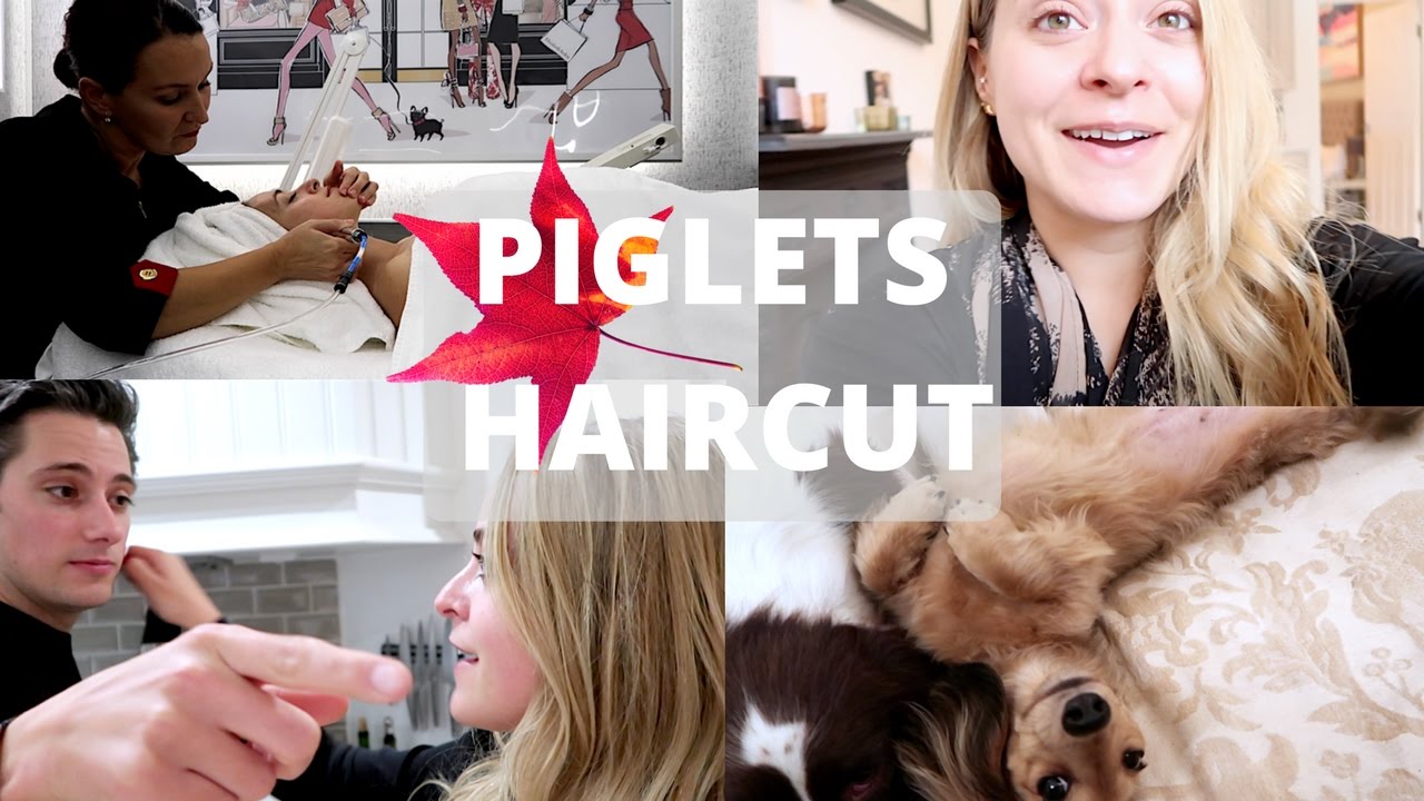 Piglet's HAIRCUT! Vlogtober 20