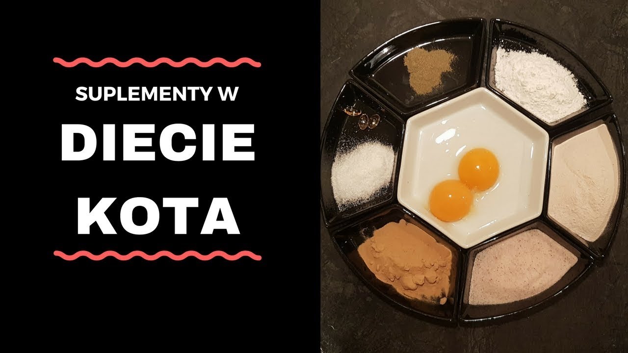 BARF - suplementy w diecie kota