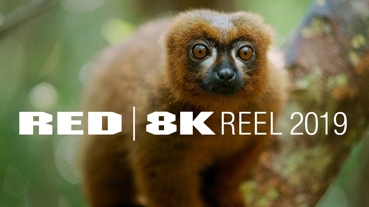 RESOLUTION MATTERS | 8K REEL | Shot on RED
