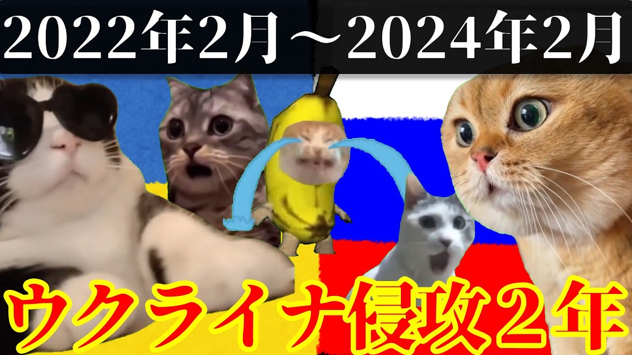 ２年間のウクライナ侵攻を振り返る #猫ミーム #猫マニ #ウクライナ #ロシア