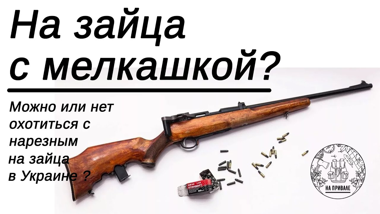 Можно ли охотиться на зайца с 