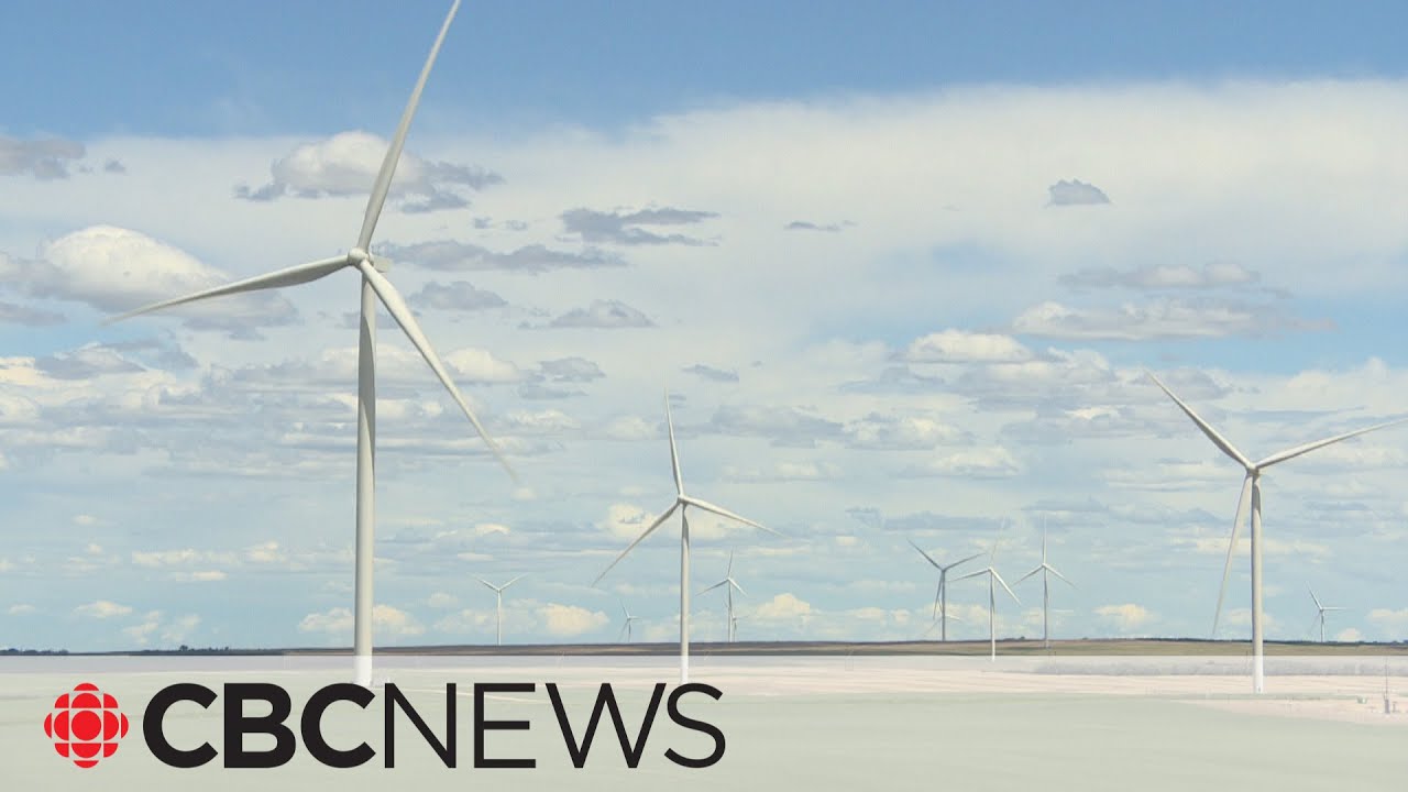 Budget has 'unprecedented' clean energy investment, but lacks strategy: climate activist