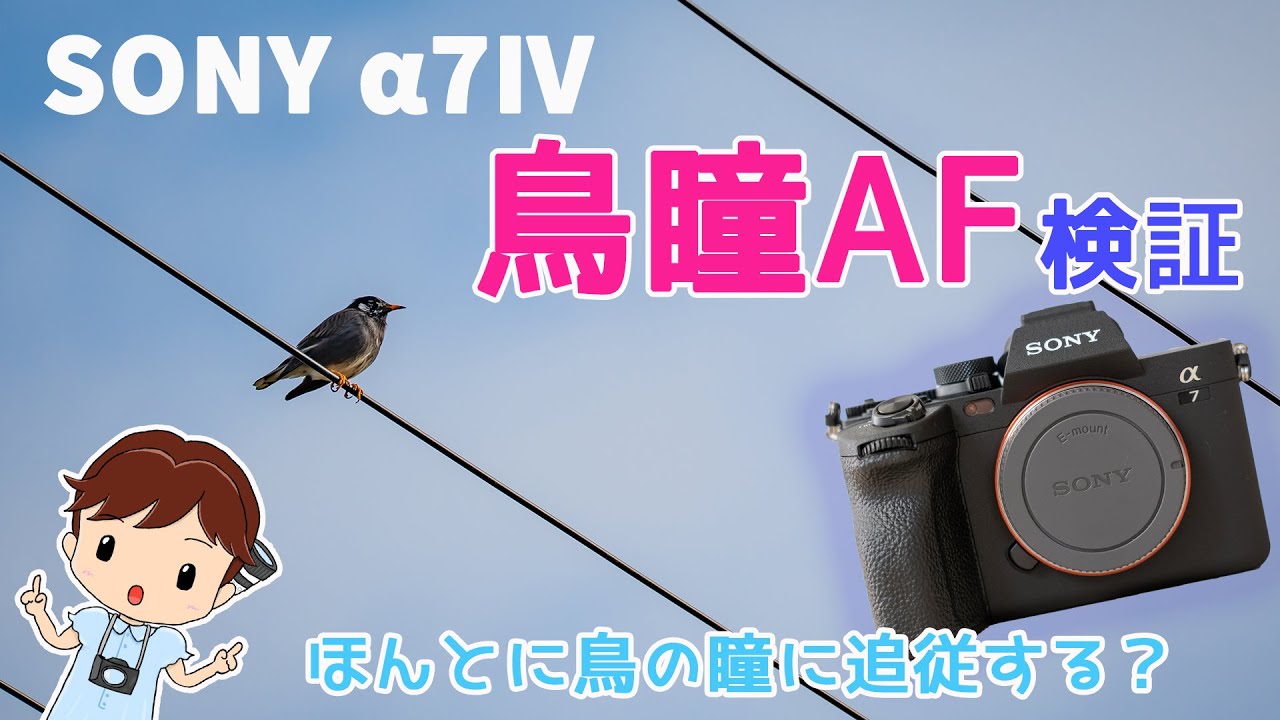 SONYの&alpha;7Ⅳ（ILCE-7M4）が届いた！開封後に鳥瞳AF検証に行ったよ！【AF追従動画あり】