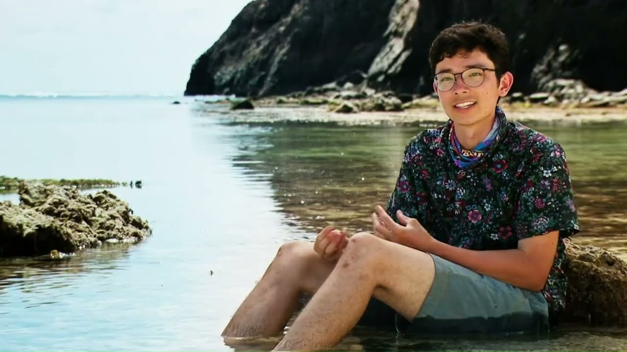 Survivor 45 - Brando Confessionals
