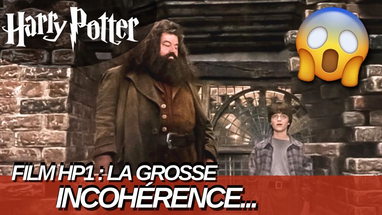 HP1 : cette INCOHÉRENCE temporelle du film...