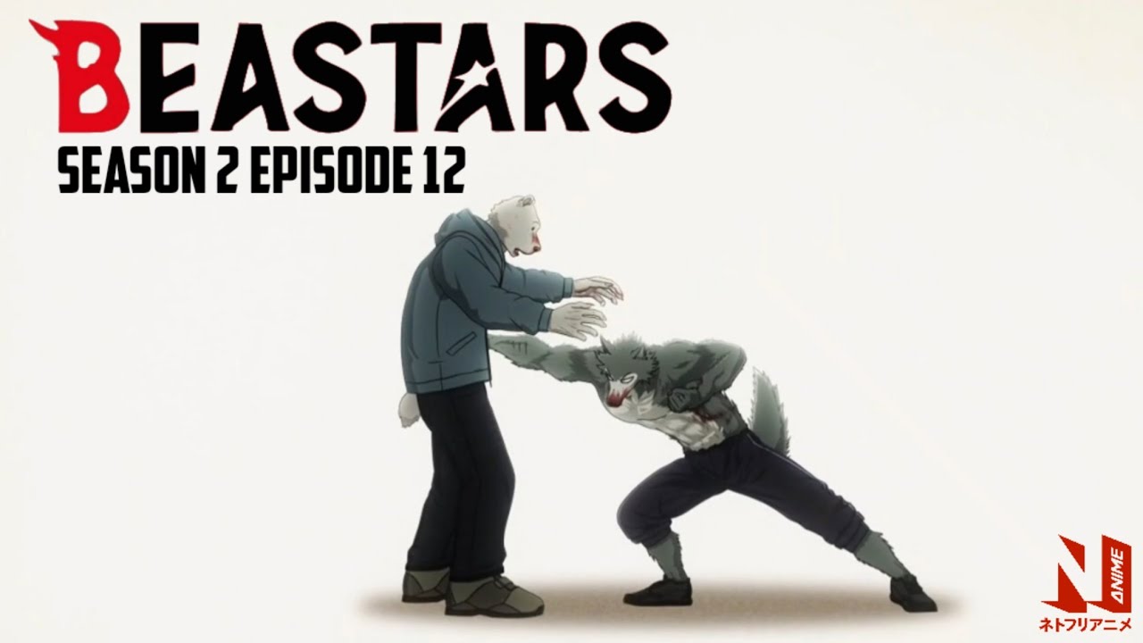 Shall we begin? | BEASTARS Season 2 Episode 12