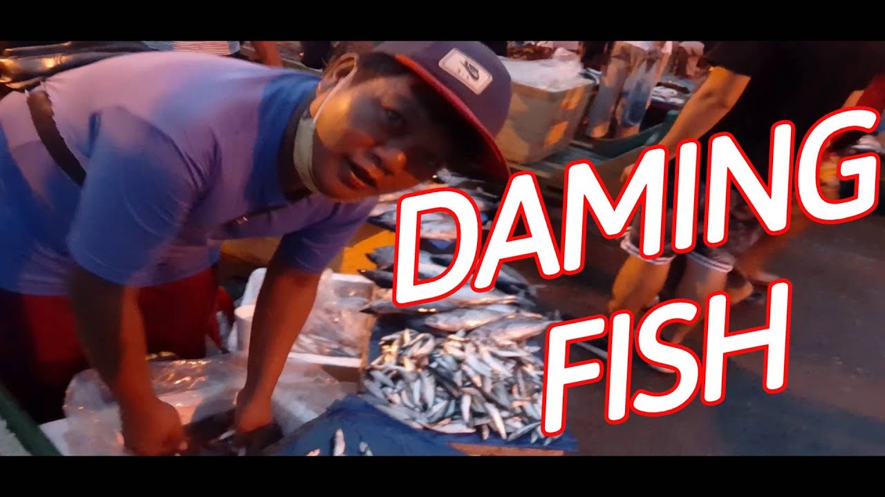 Daming isda  Zamboanga City Fish Market