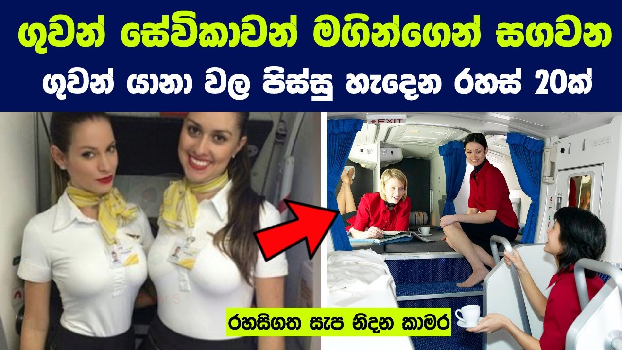 ගුවන් සේවිකාවන් මගින්ගෙන් සගවන ගුවන් යානා වල රහස් 20ක් | Secrets Flight Attendants Won't Tell You