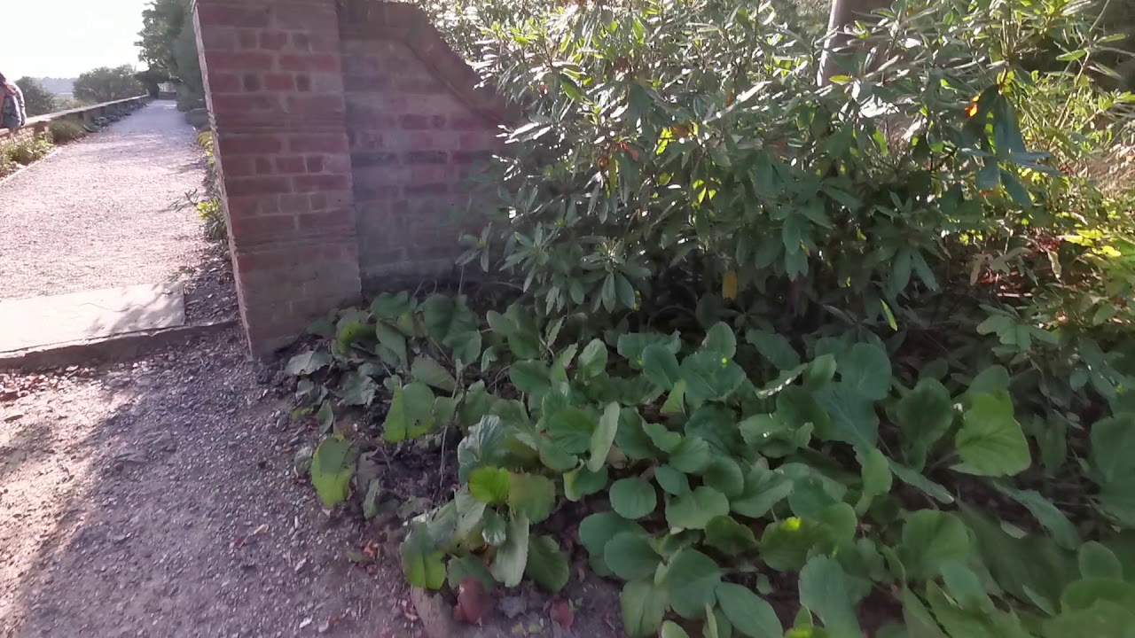 Standen (3)