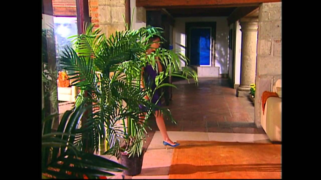 A Cada Quien Su Santo - Telefono descompuesto