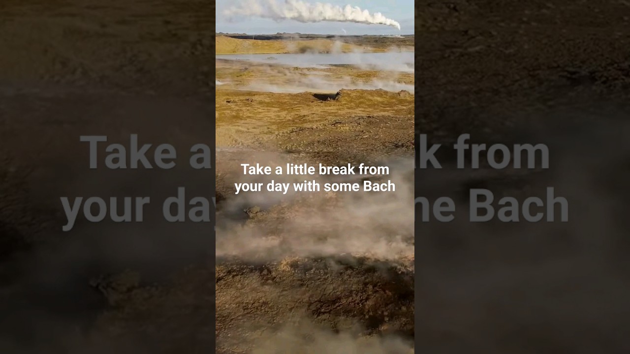 There is nothing like a little Bach polyphony! #piano #bach #classicalmusic