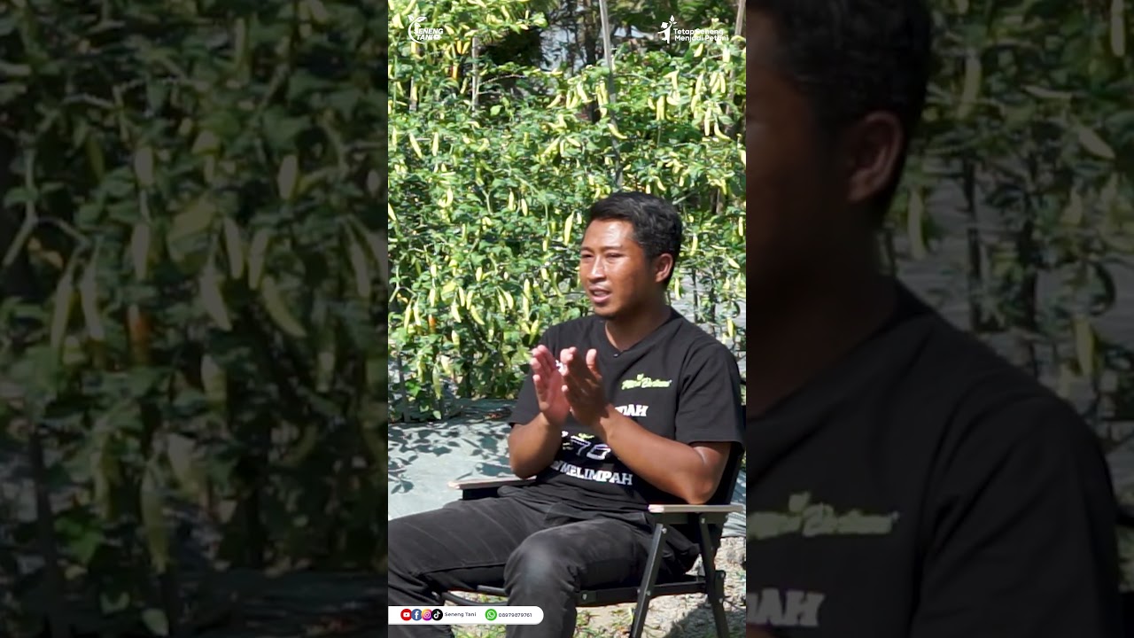 Mitra Bertani punya apa sih? #senengtani #mitrabertanitv #petanimuda #petanicabe #petanimilenial