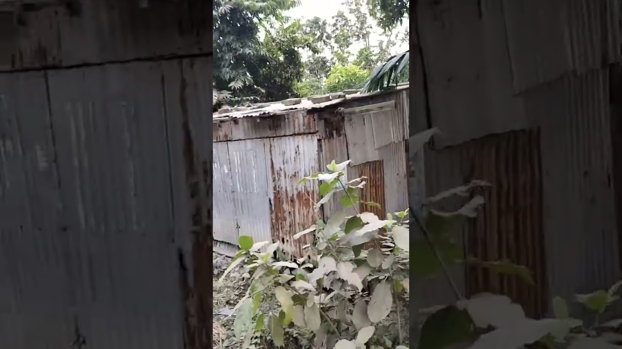 House #earthquake #video #youtubeshorts #trending #vlog #yt #calamity #nature #home #broken #love