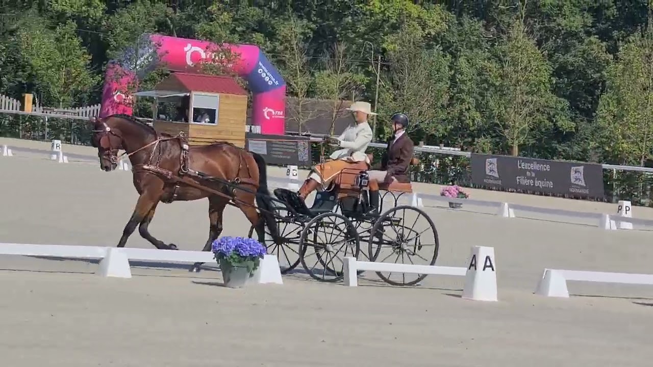 Kristina Klindt dressur VM 2024
