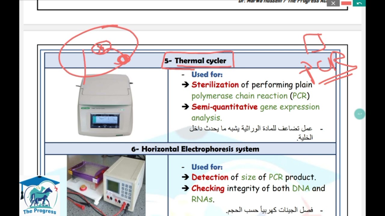 سكشن 4 Molecular biology اولي بيطري المنصورة ✨