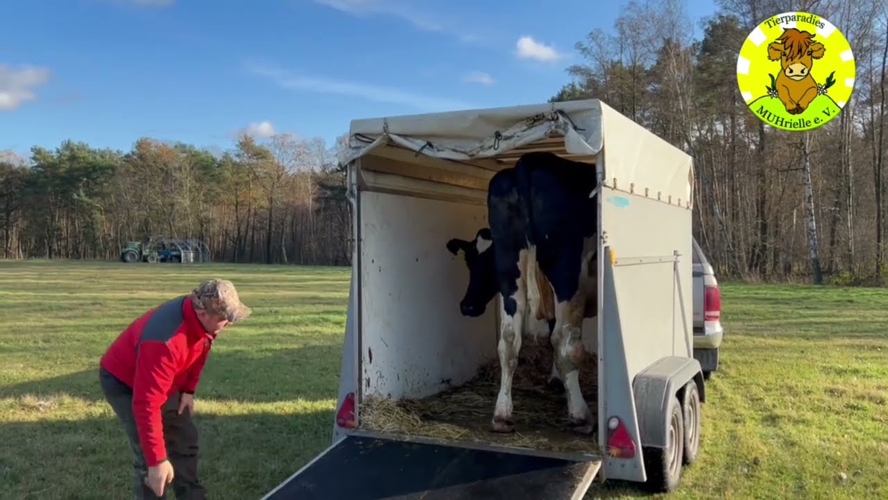 Marlies Leben endete jetzt...