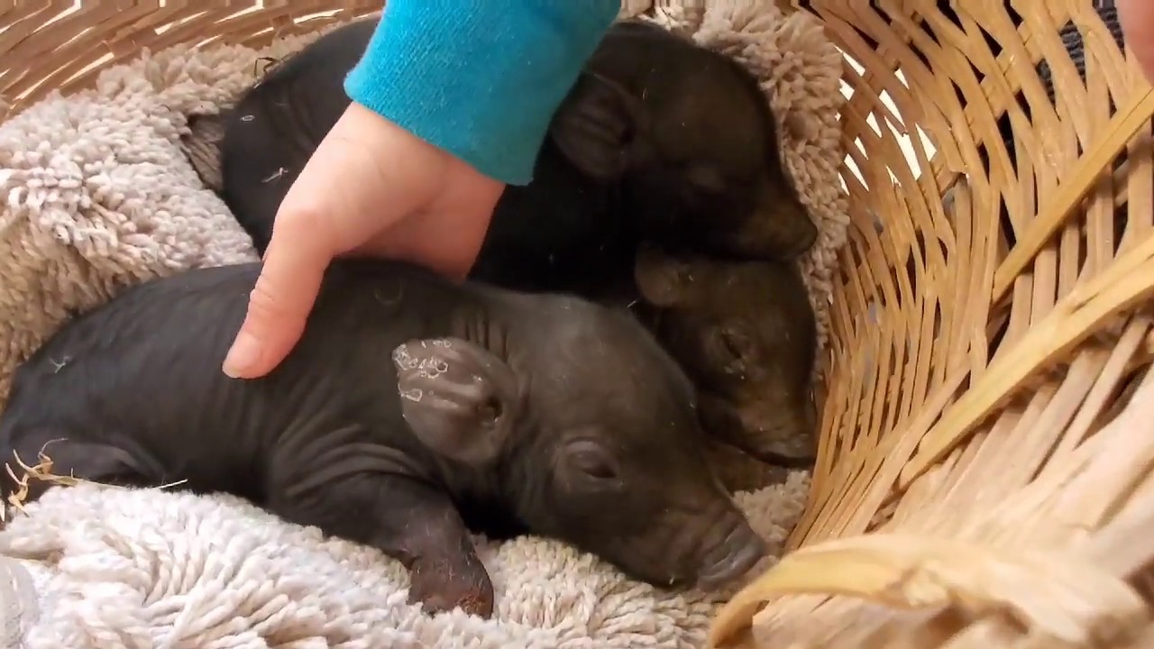 Things Never Go to Plan