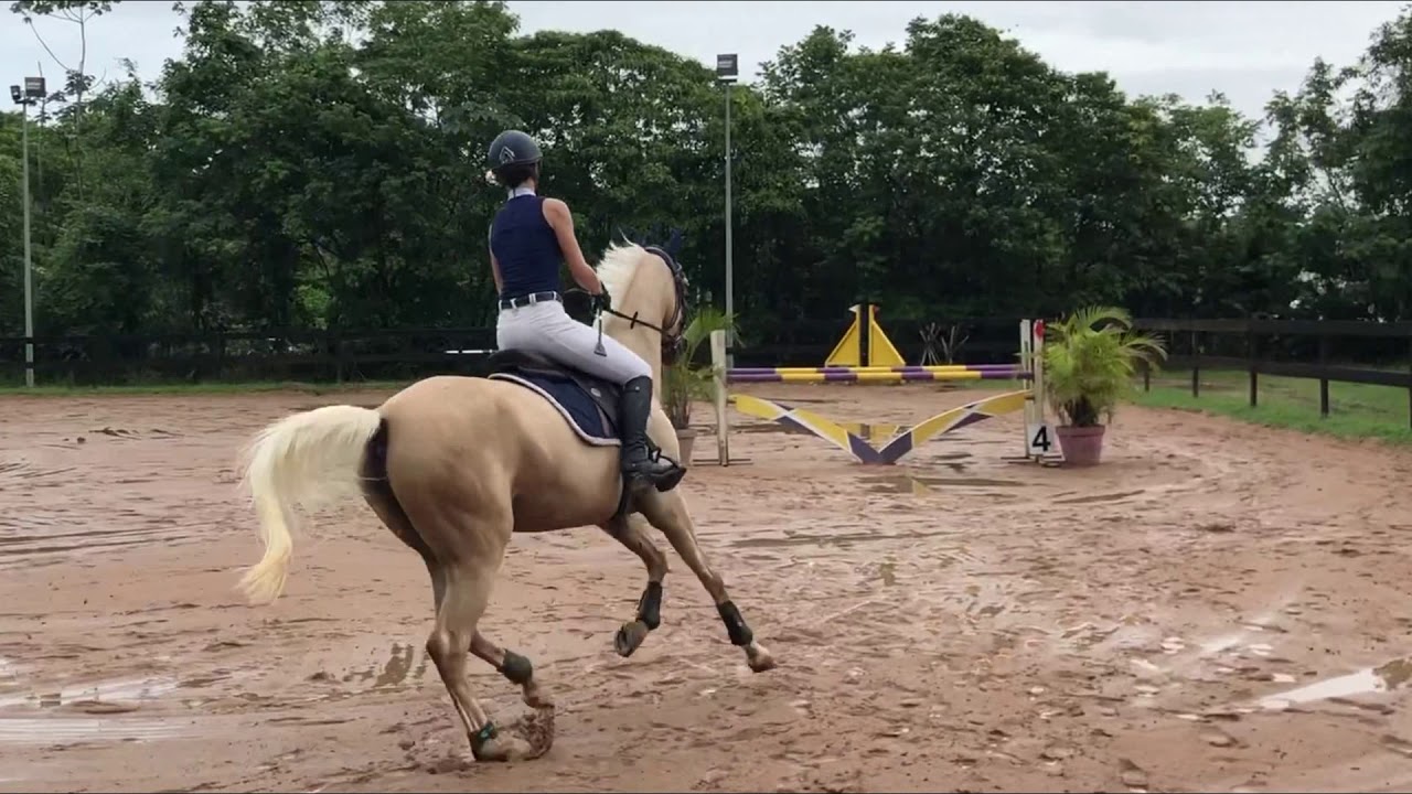 CSO Amateur 3 -  Sidney - EFD