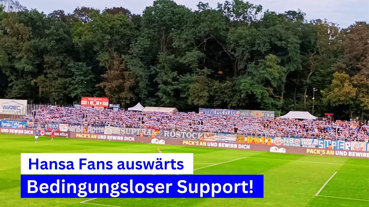 Hansa Fans mit MEGA Support I Viktoria Köln - Hansa Rostock I 30.08.24
