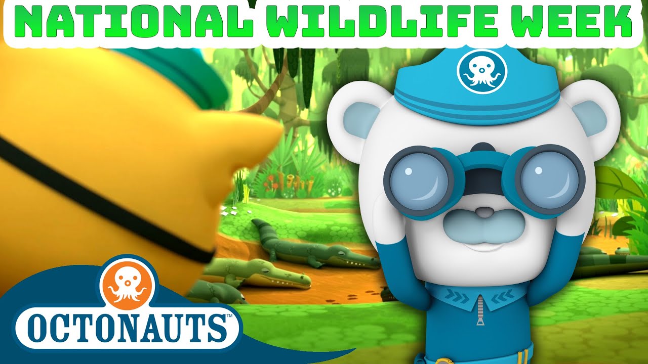 ​@Octonauts - National Wildlife Week One Hour Special! 🦎🐊 | Underwater Sea Education