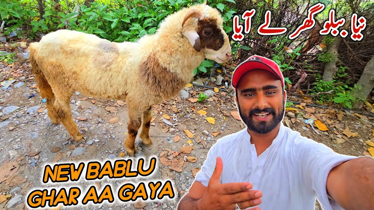 New Bablu Ghar Aa Gaya 🤗 MB Vlogs 