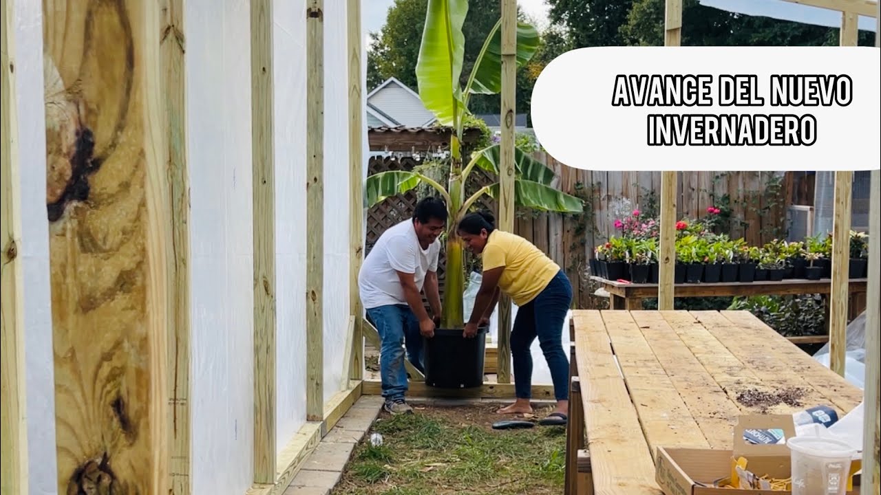 AVANCE DEL NUEVO INVERNADERO SON MUCHAS PLANTAS