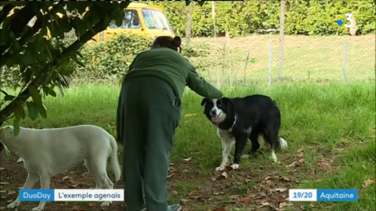 Duoday travailler en binome avec une personne handicapee le temps d une journee