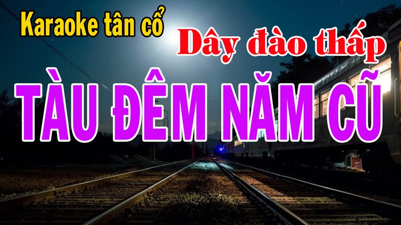 Karaoke tân cổ TÀU ĐÊM NĂM CŨ - DÂY ĐÀO THẤP (Đô)
