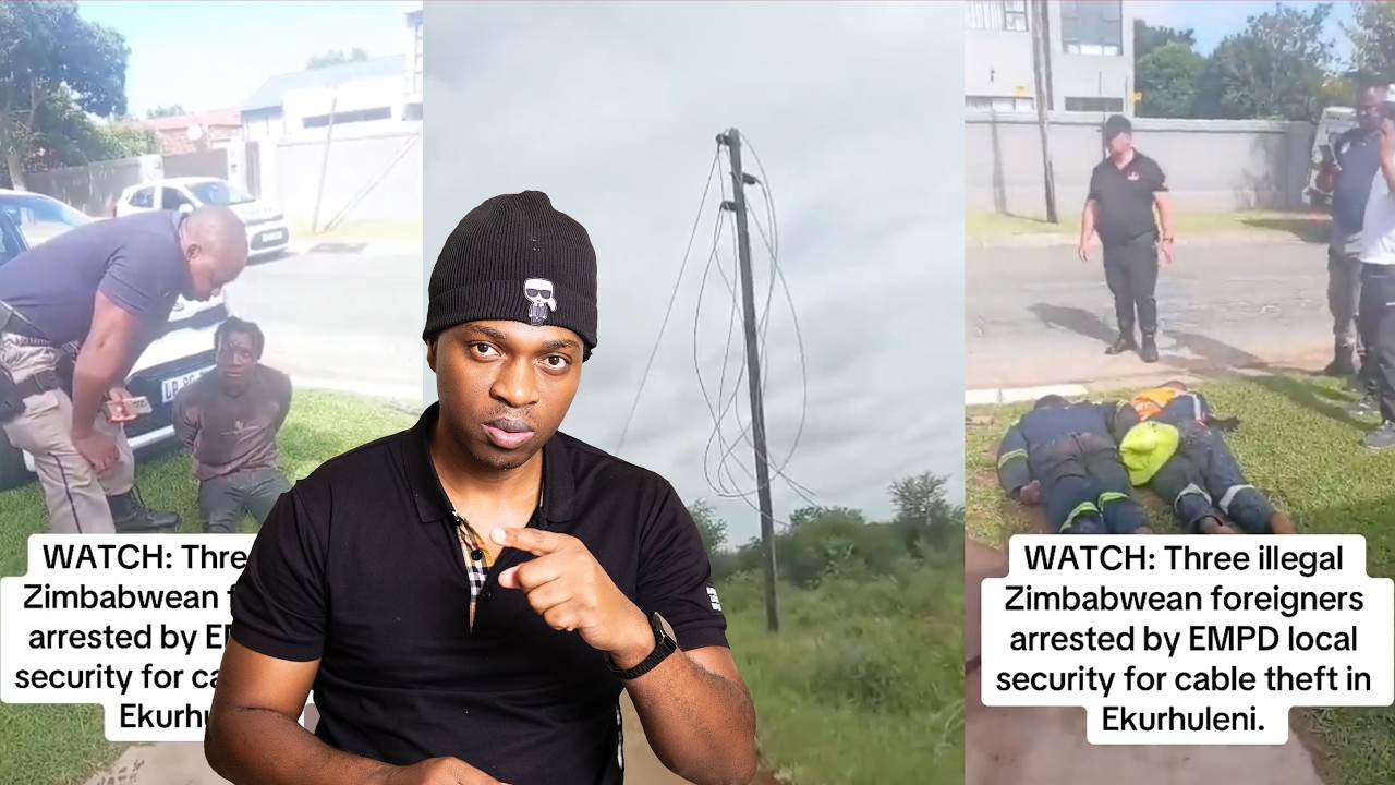 Zimbabwean & Mozambican Criminals Stealing Electrical Cables in South Africa