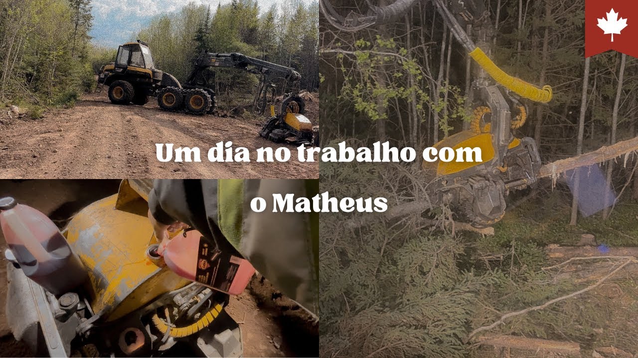 VLOG: Um dia de trabalho de um OPERADOR DE MÁQUINA FLORESTAL no CANADÁ 🇨🇦