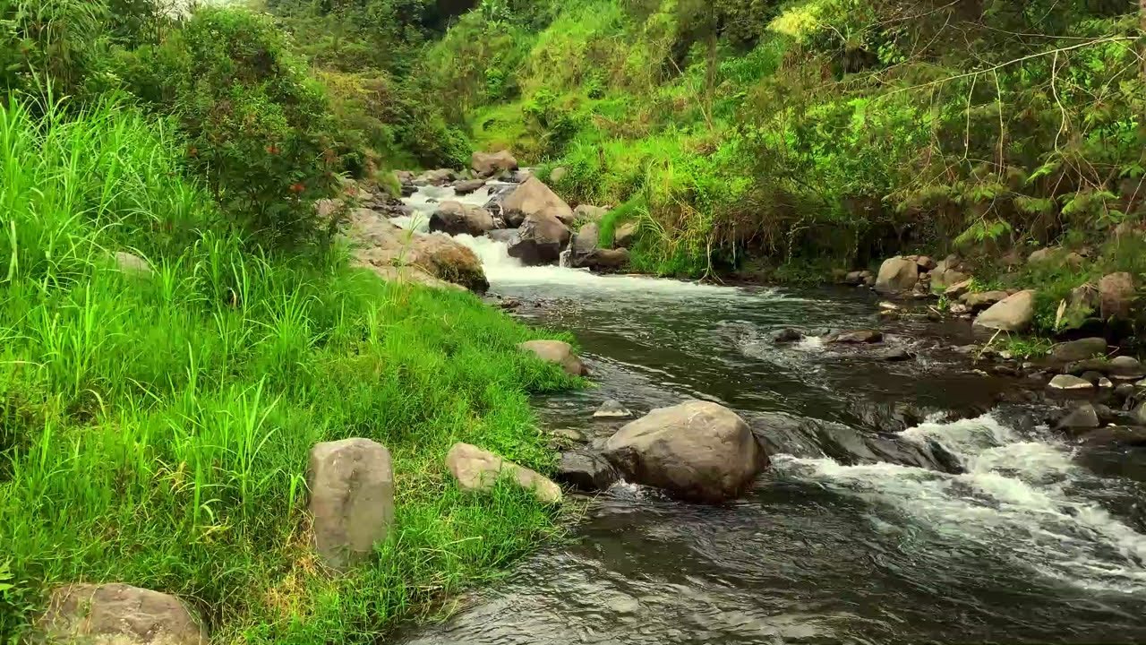 Gentle Water Sounds to Support Meditation and Inner Calm