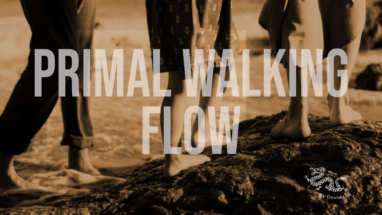 Primal Walking Exploration