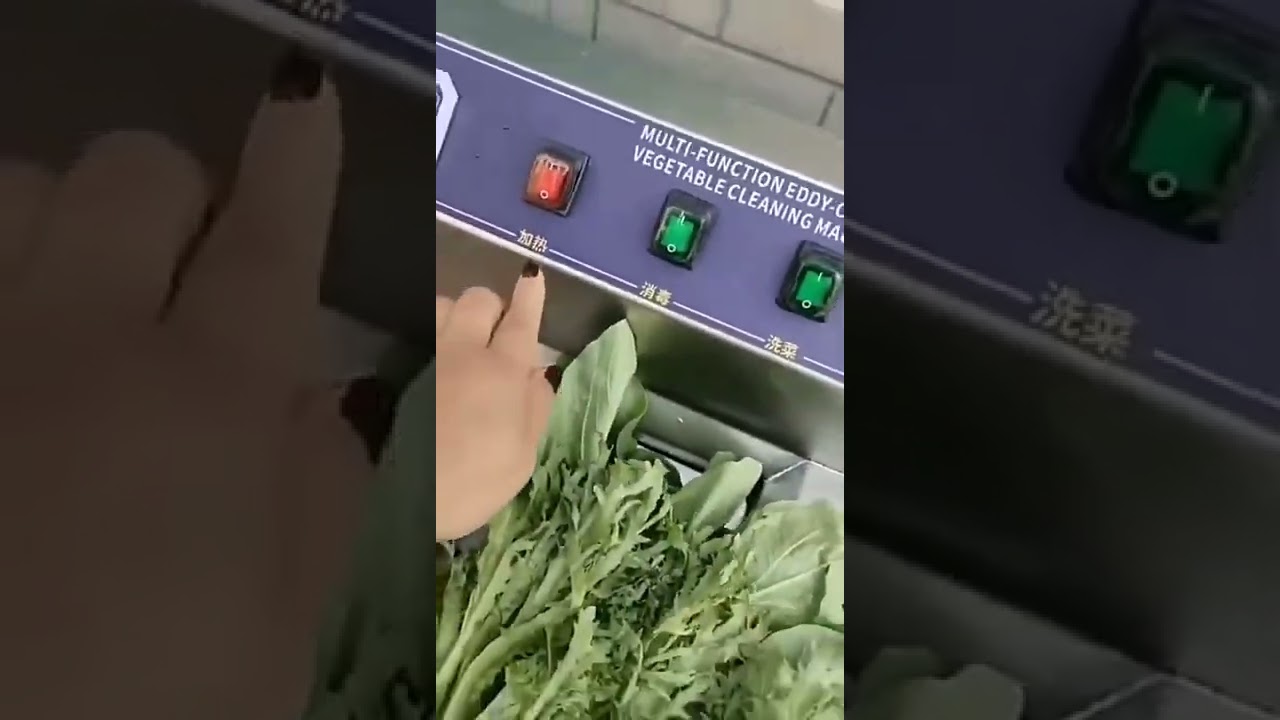 High Efficiency Vegetable Washing Machine Fruit Washing Machine