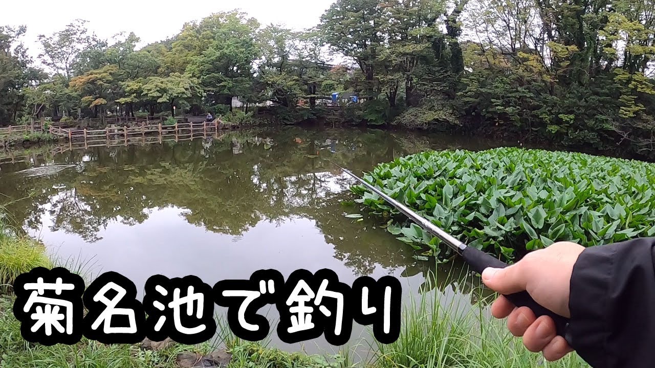 菊名池で釣り【横浜】