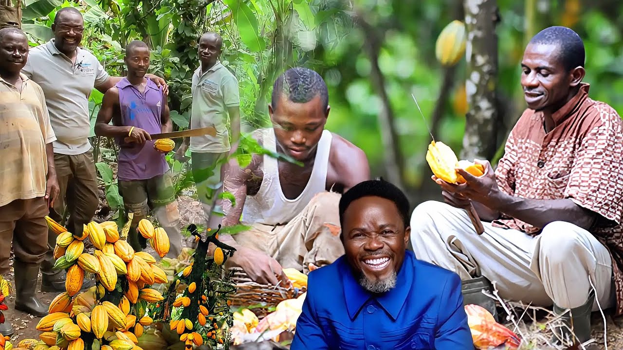 Just 4 Laughs with Dan Kwaku Yeboah and Kwami Sefa Kayi on Kokrokoo Friday Morning 