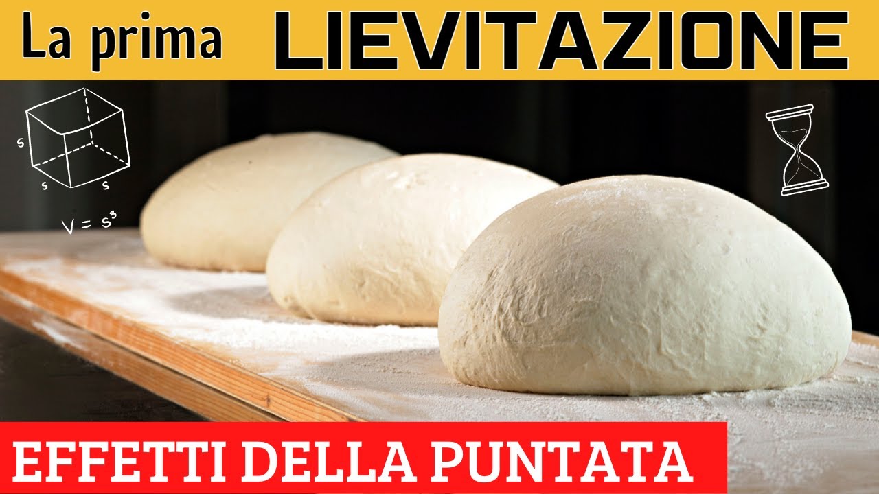 La Prima Lievitazione : Tutto quello che devi sapere! Puntata scientifica