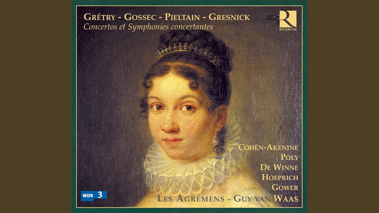 Symphonie concertante pour clarinette, basson et orchestre in B-Flat Major: I. Allegro