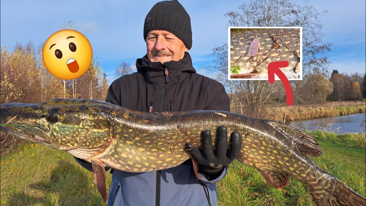 Very big pike! 6 kg 🤩 