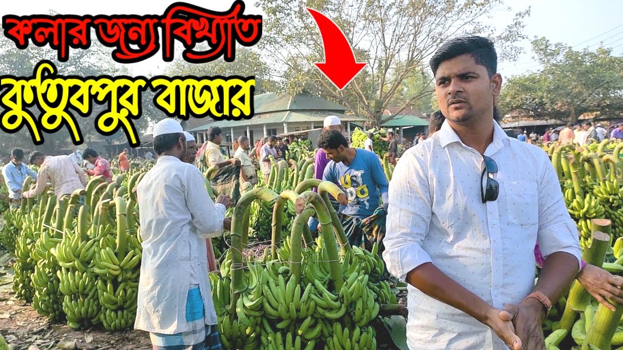 Banana market ঐতিহ্যবাহী কলার হাট কুতুবপুর বাজার। সখিপুর,টাঙ্গাঈল।