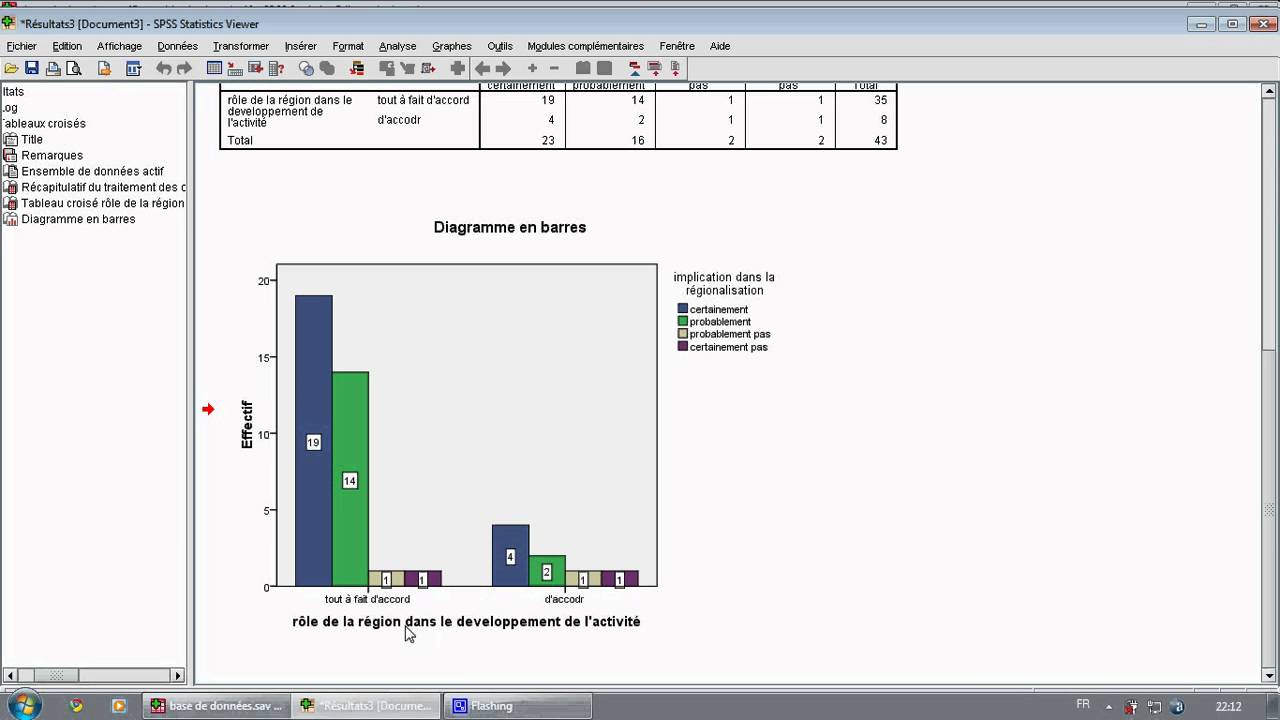 Formation SPSS : Tableaux d'effectifs et Diagrammes