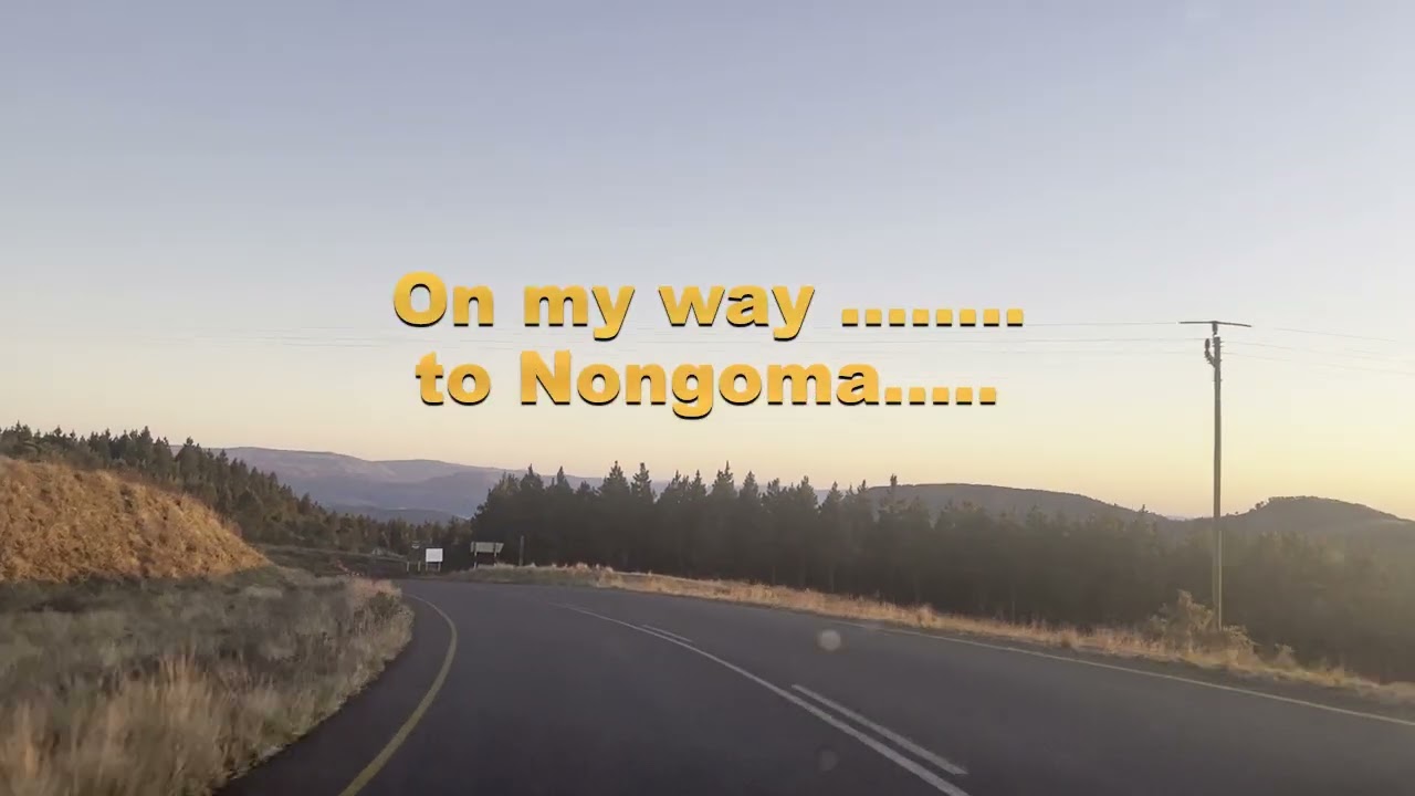 Vryheid Arrival and departure