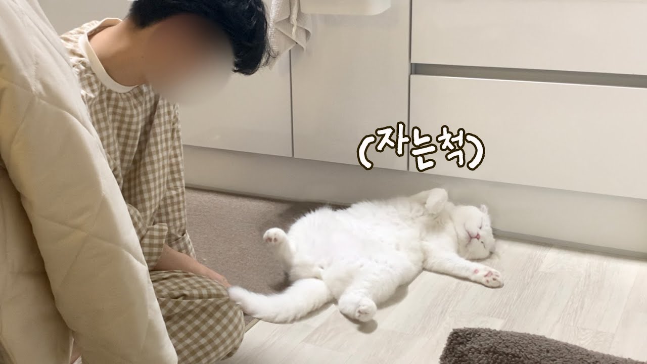 야 자는 척하냐...